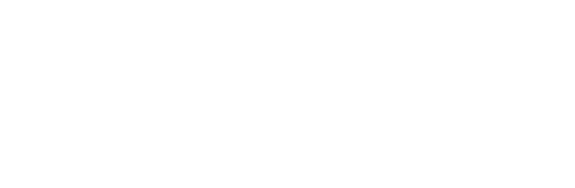 קבוצת האחים נוימן